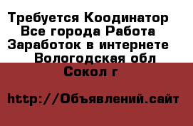 Требуется Коодинатор - Все города Работа » Заработок в интернете   . Вологодская обл.,Сокол г.